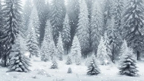 Loopable Christmas snow. Christmas forest. Stock Footage 262507724