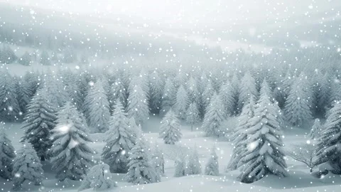 Loopable Christmas snow. Christmas forest. Stock Footage 262507828