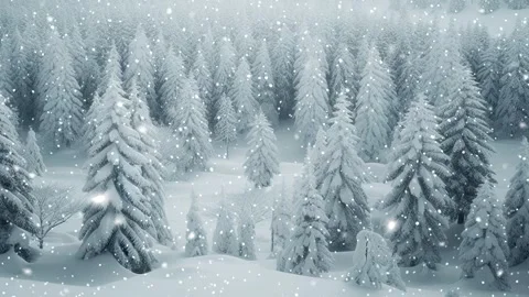 Loopable Christmas snow. Christmas forest. Stock Footage 262507835
