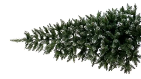 Loopable Christmas Tree Isolated on White Background. Vertical Video. Stock Footage 144092152