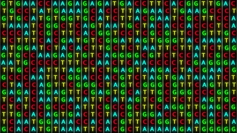Loopable: DNA Genetic Matching and Analysis Abstract Background With Color-Coded Stock Footage 162433109