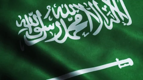 Loopable: Flag of Saudi Arabia 60fps Video stock 73929952