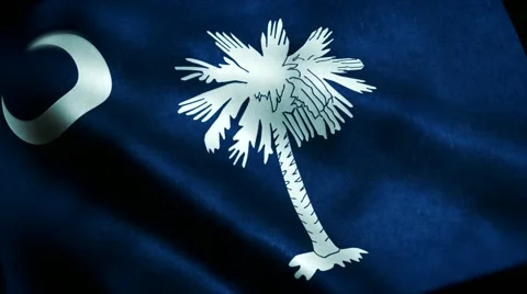 Loopable: Flag of South Carolina 60fps Video stock 68493209