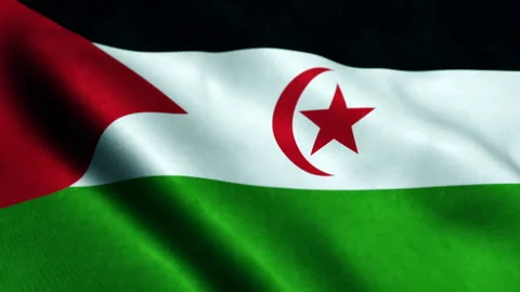 Loopable Flag of Western Sahara. 스톡 동영상 235405770