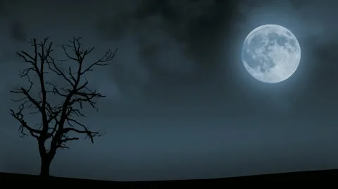 Loopable full moon night background 動画素材 917353
