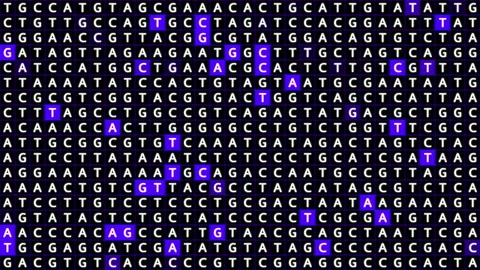 Loopable: Genetic Mapping DNA Sequence Analysis Abstract Background With Letters Stock Footage 161007592