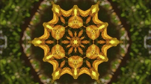 Loopable Kaleidoscope (59.97 fps) of forest and golden leaf in sunlight. Can be Stock-Footage 223053785