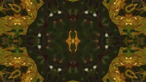 Loopable Kaleidoscope (59.97 fps) of forest and golden leaf in sunlight. Can be Stock-Footage 223058378