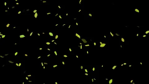 Loopable Leaves Animation on Black Background, White Background, Blue Background Stock Footage 277774560