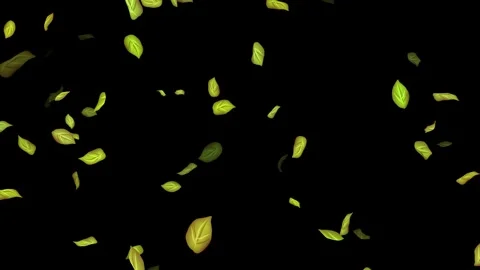 Loopable Leaves Animation on Black Background, White Background, Blue Background Stock Footage 277774608