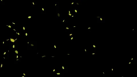 Loopable Leaves Animation on Black Background, White Background, Blue Background Stock Footage 277774622
