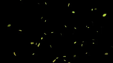 Loopable Leaves Animation on Black Backg... | Stock Video | Pond5
