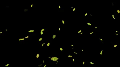 Loopable Leaves Animation on Black Background, White Background, Blue Background Stock Footage 277774922