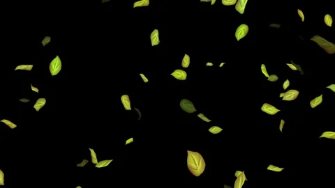 Loopable Leaves Animation on Black Background, White Background, Blue Background Stock Footage 277774948