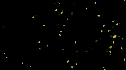 Loopable Leaves Animation on Black Background, White Background, Blue Background Stock Footage 277774963