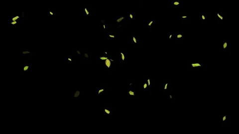 Loopable Leaves Animation on Black Background, White Background, Blue Background Stock Footage 277775337
