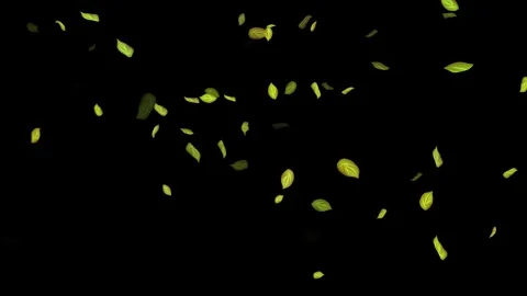 Loopable Leaves Animation on Black Background, White Background, Blue Background Stock Footage 277775348