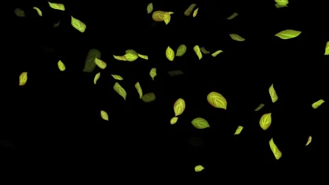 Loopable Leaves Animation on Black Backg... | Stock Video | Pond5