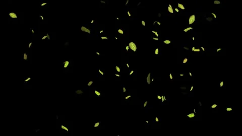 Loopable Leaves Animation on Black Background, White Background, Blue Background Stock Footage 277775418