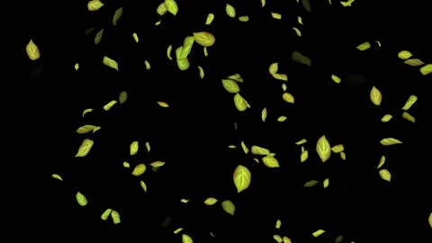 Loopable Leaves Animation on Black Background, White Background, Blue Background Stock Footage 277775446