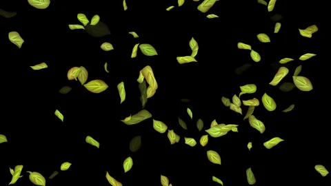 Loopable Leaves Animation on Black Background, White Background, Blue Background Stock Footage 277775474