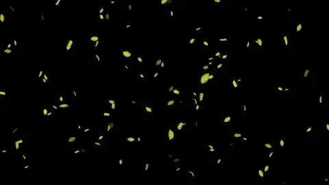 Loopable Leaves Animation on Black Background, White Background, Blue Background Stock Footage 277775499