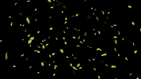Loopable Leaves Animation on Black Background, White Background, Blue Background Stock Footage 277775523