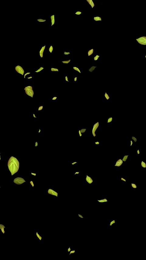 Loopable Leaves Animation on Black Background, White Background, Blue Background Stock Footage 277775848