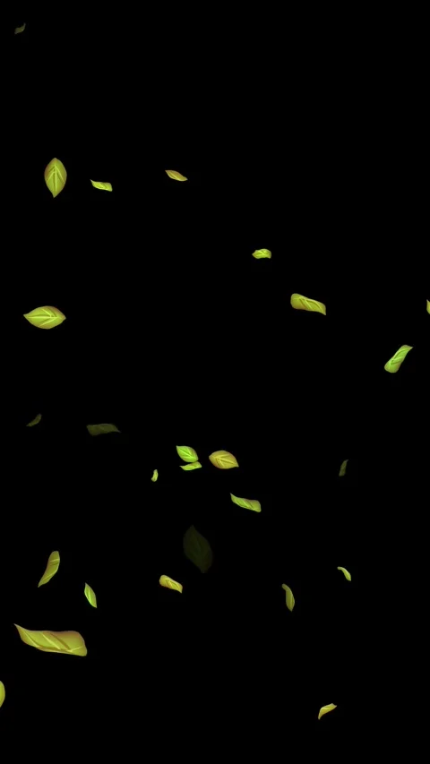 Loopable Leaves Animation on Black Background, White Background, Blue Background Stock Footage 277775884