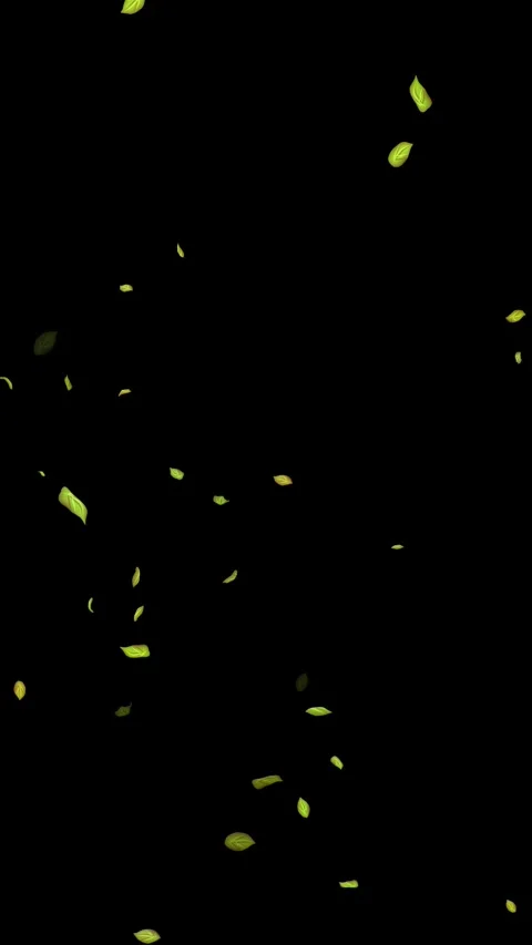 Loopable Leaves Animation on Black Background, White Background, Blue Background Stock Footage 277775917