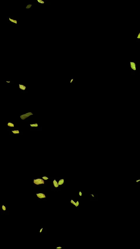 Loopable Leaves Animation on Black Background, White Background, Blue Background Stock Footage 277775926