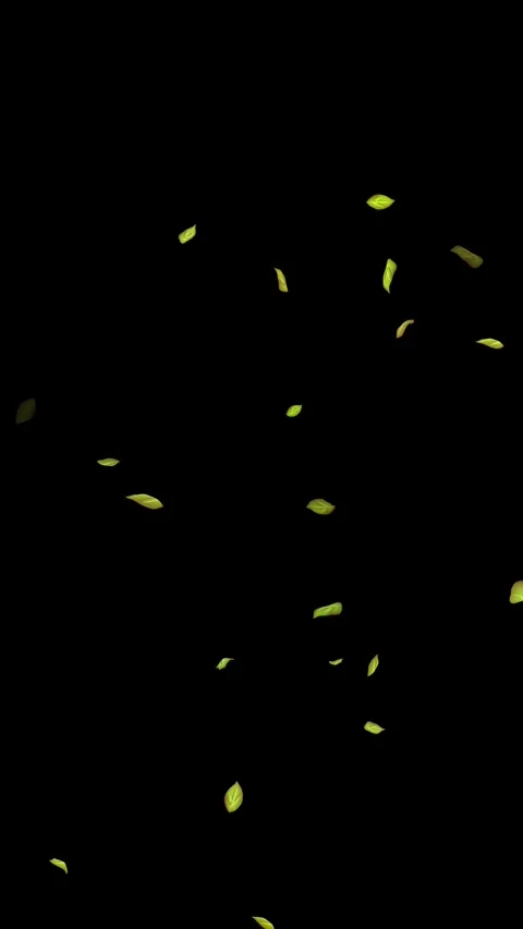 Loopable Leaves Animation on Black Background, White Background, Blue Background Stock Footage 277776081