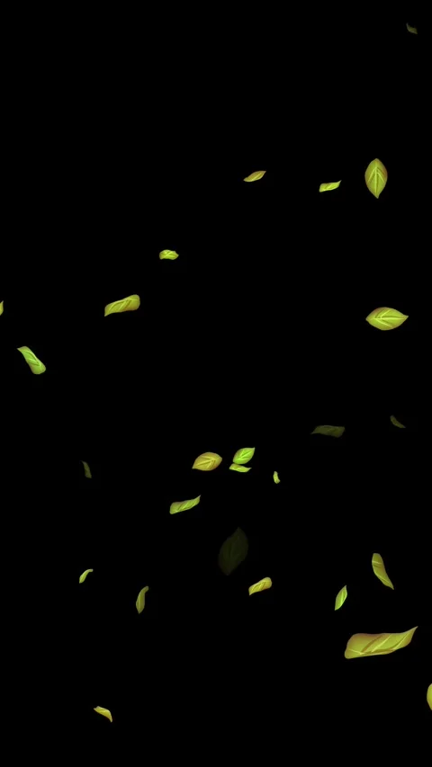 Loopable Leaves Animation on Black Background, White Background, Blue Background Stock Footage 277776094