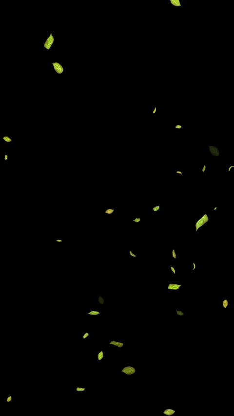 Loopable Leaves Animation on Black Background, White Background, Blue Background Stock Footage 277776107