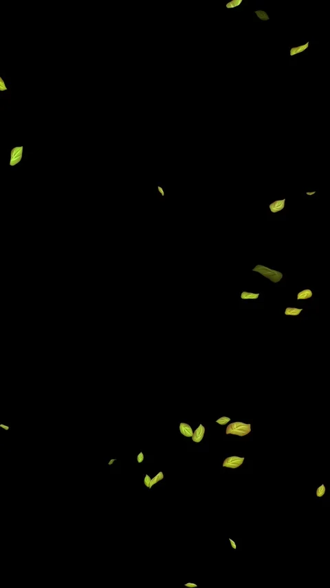 Loopable Leaves Animation on Black Background, White Background, Blue Background Stock Footage 277776121