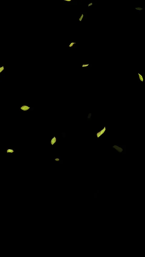 Loopable Leaves Animation on Black Background, White Background, Blue Background Stock Footage 277776522