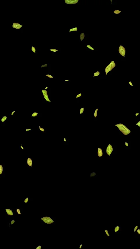 Loopable Leaves Animation on Black Background, White Background, Blue Background Stock Footage 277776536