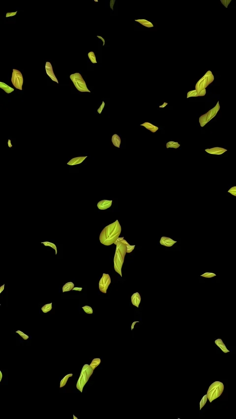 Loopable Leaves Animation on Black Background, White Background, Blue Background Stock Footage 277776559