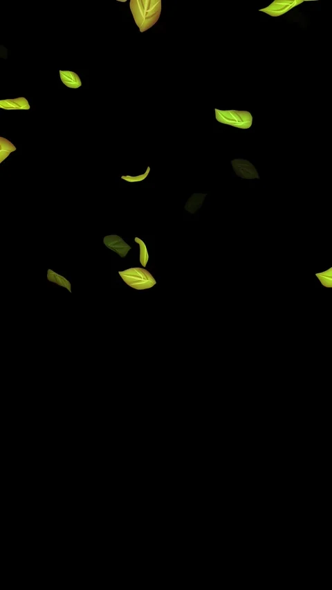 Loopable Leaves Animation on Black Background, White Background, Blue Background Stock Footage 277776564