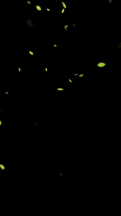 Loopable Leaves Animation on Black Background, White Background, Blue Background Stock Footage 277776581