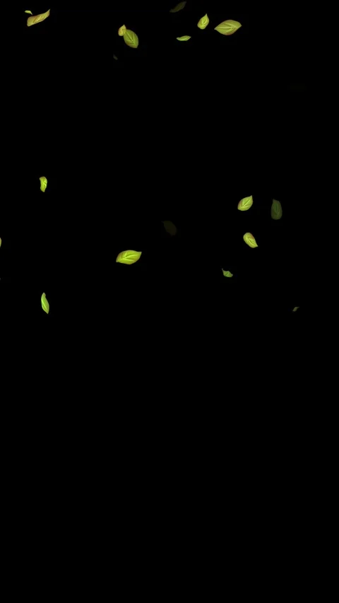 Loopable Leaves Animation on Black Background, White Background, Blue Background Stock Footage 277789827