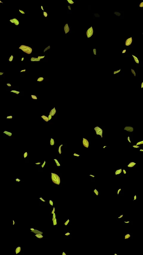 Loopable Leaves Animation on Black Background, White Background, Blue Background Stock Footage 277789834