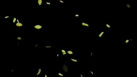 Loopable Leaves Animation on Black Background, White Background, Blue Background Stock Footage 277790003