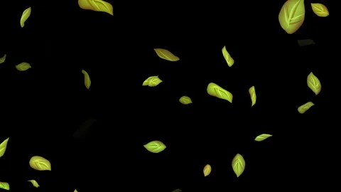 Loopable Leaves Animation on Black Background, White Background, Blue Background Stock Footage 277790015