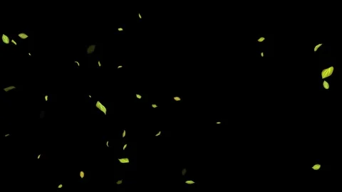 Loopable Leaves Animation on Black Background, White Background, Blue Background Stock Footage 277790020