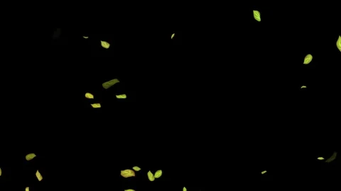 Loopable Leaves Animation on Black Background, White Background, Blue Background Stock Footage 277790025