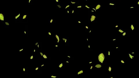 Loopable Leaves Animation on Black Background, White Background, Blue Background Stock Footage 277790154
