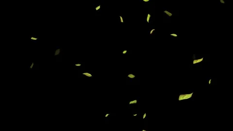 Loopable Leaves Animation on Black Background, White Background, Blue Background Stock Footage 277790175