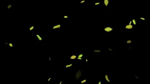 Loopable Leaves Animation on Black Background, White Background, Blue Background Stock Footage 277790189