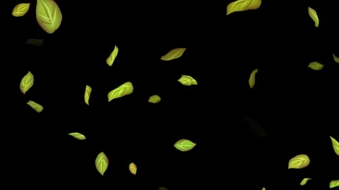 Loopable Leaves Animation on Black Background, White Background, Blue Background Stock Footage 277790199